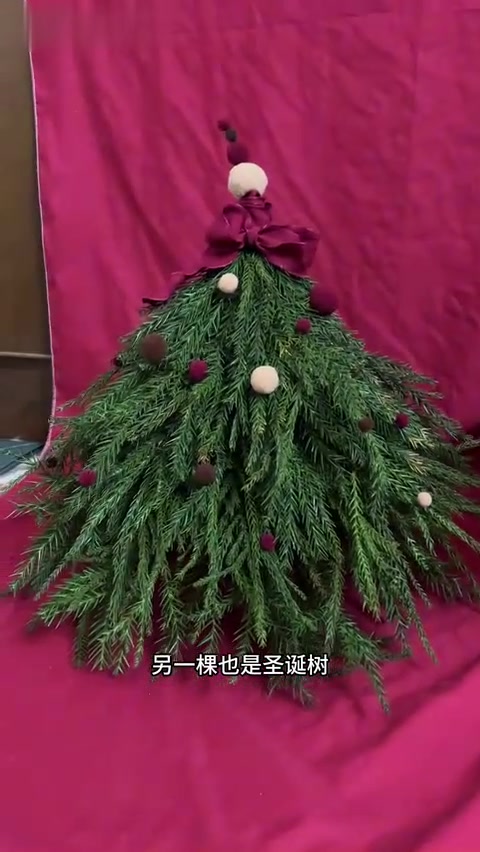 小猫你是一棵圣诞树