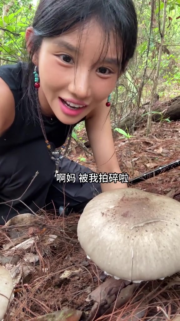 呼吁大家采摘小野生菌放回去让其生长，多拍留下孢子当种子