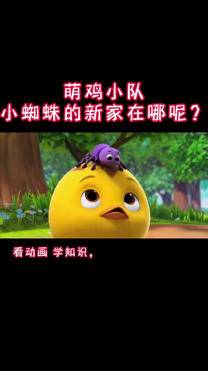 萌鸡小队，小蜘蛛的新家在哪里