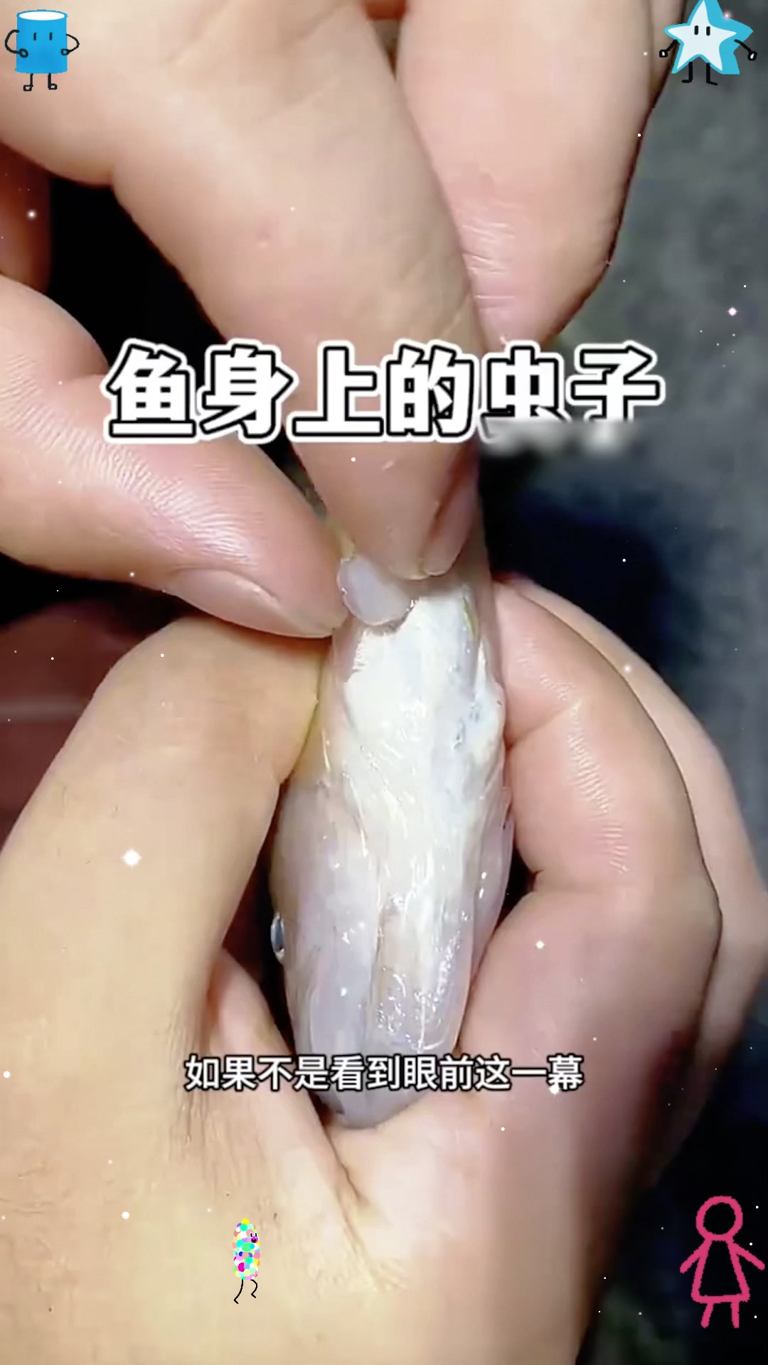 鱼身上的虫子，居然是寄生虫