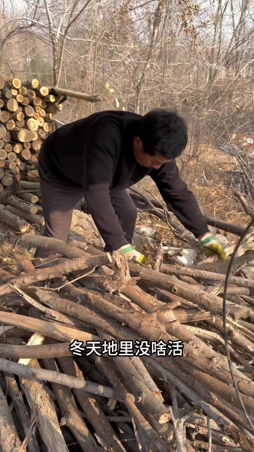 山东版的烧卖别有风味，配上一条十斤大蛤蟆鱼，这个冬天太过瘾了