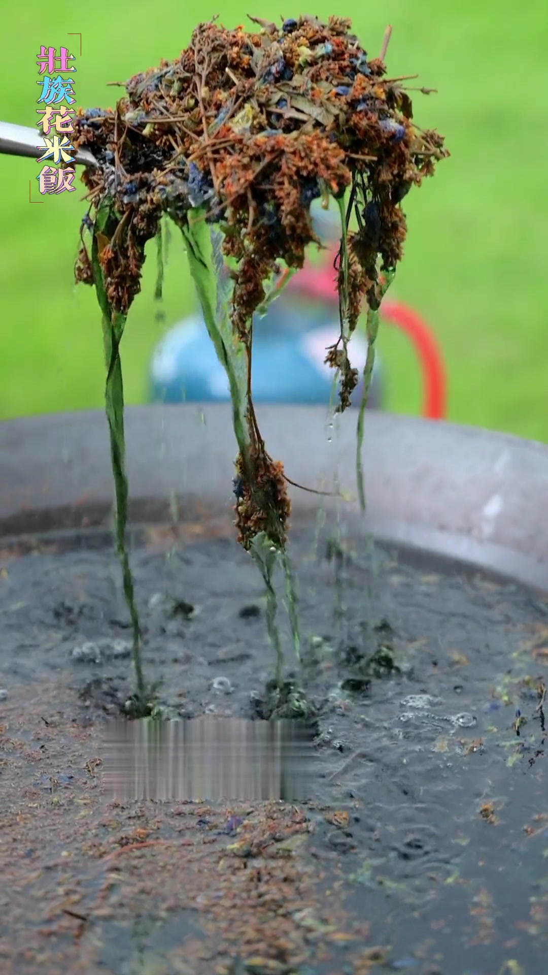 七夕,尝七彩糯米饭!