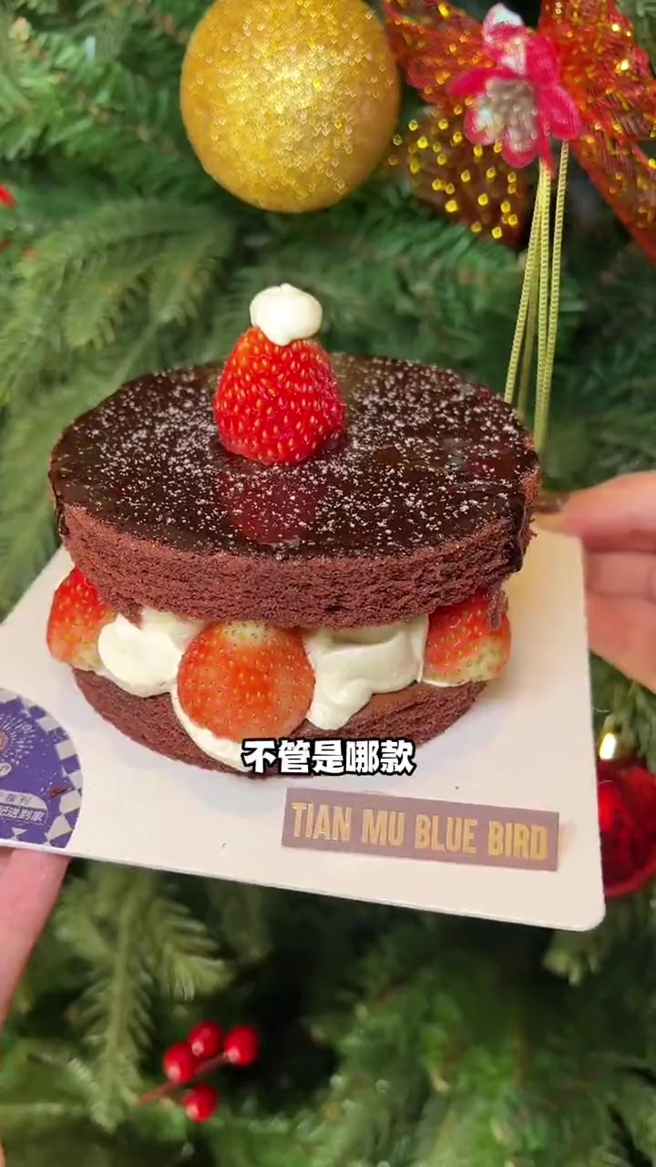 圣诞氛围拉满的蛋糕？天母蓝鸟给你们安排了！