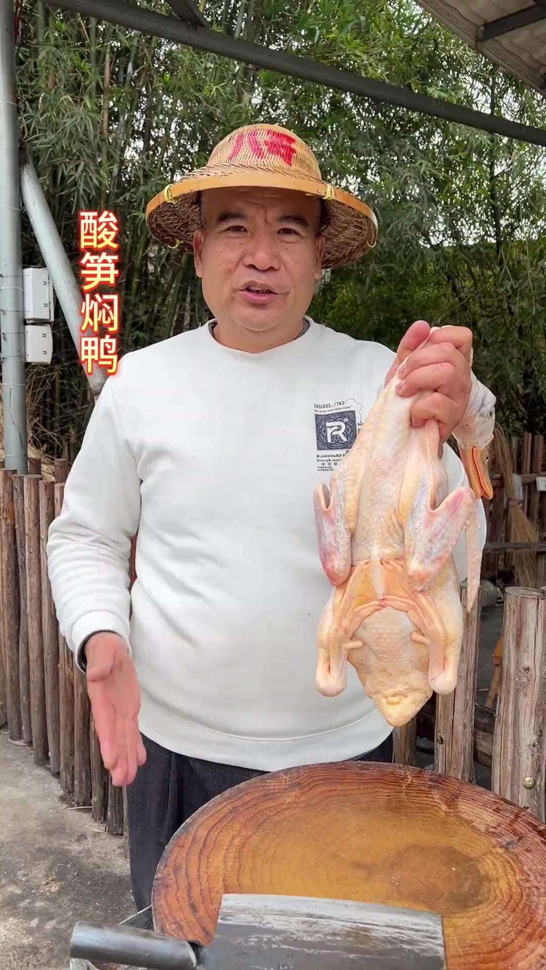 南方的天气说变就变那我就来个酸笋焖鸭吧
