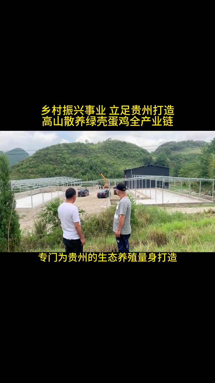乡村振兴事业,立足贵州打造高山散养绿壳蛋鸡全产业链,让生态食材走进寻常百姓家