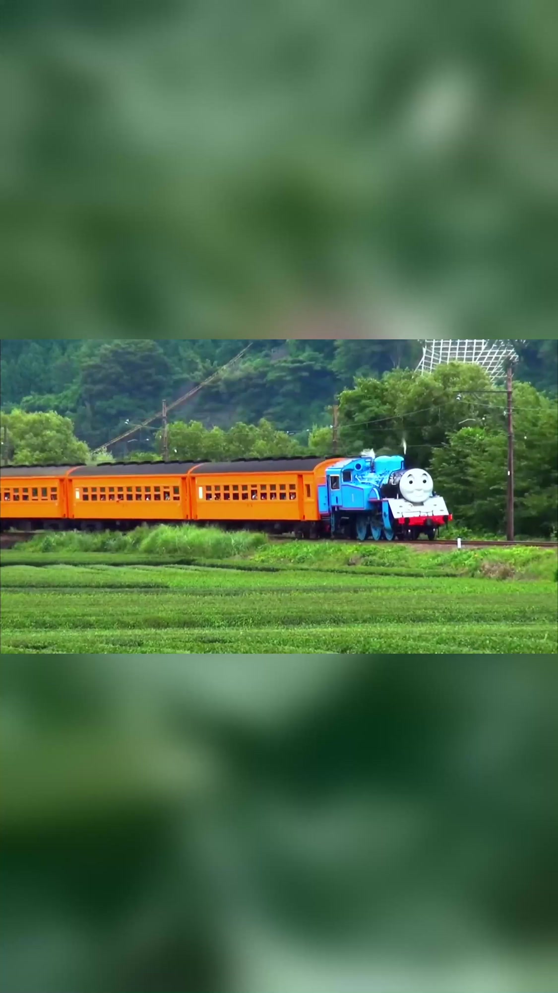 夏日旅行,来了 来了 他来了 这个蓝色蒸汽小火车就是托马斯