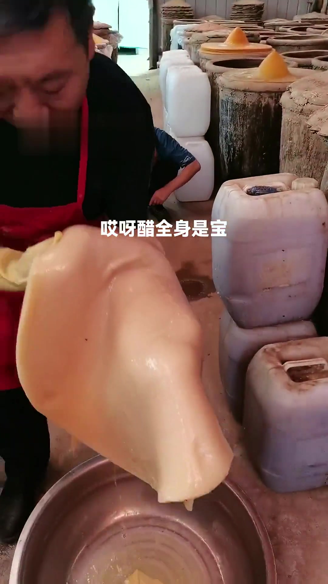 醋痂也叫醋皮,醋根,醋宝,醋蛾子,可以凉拌吃