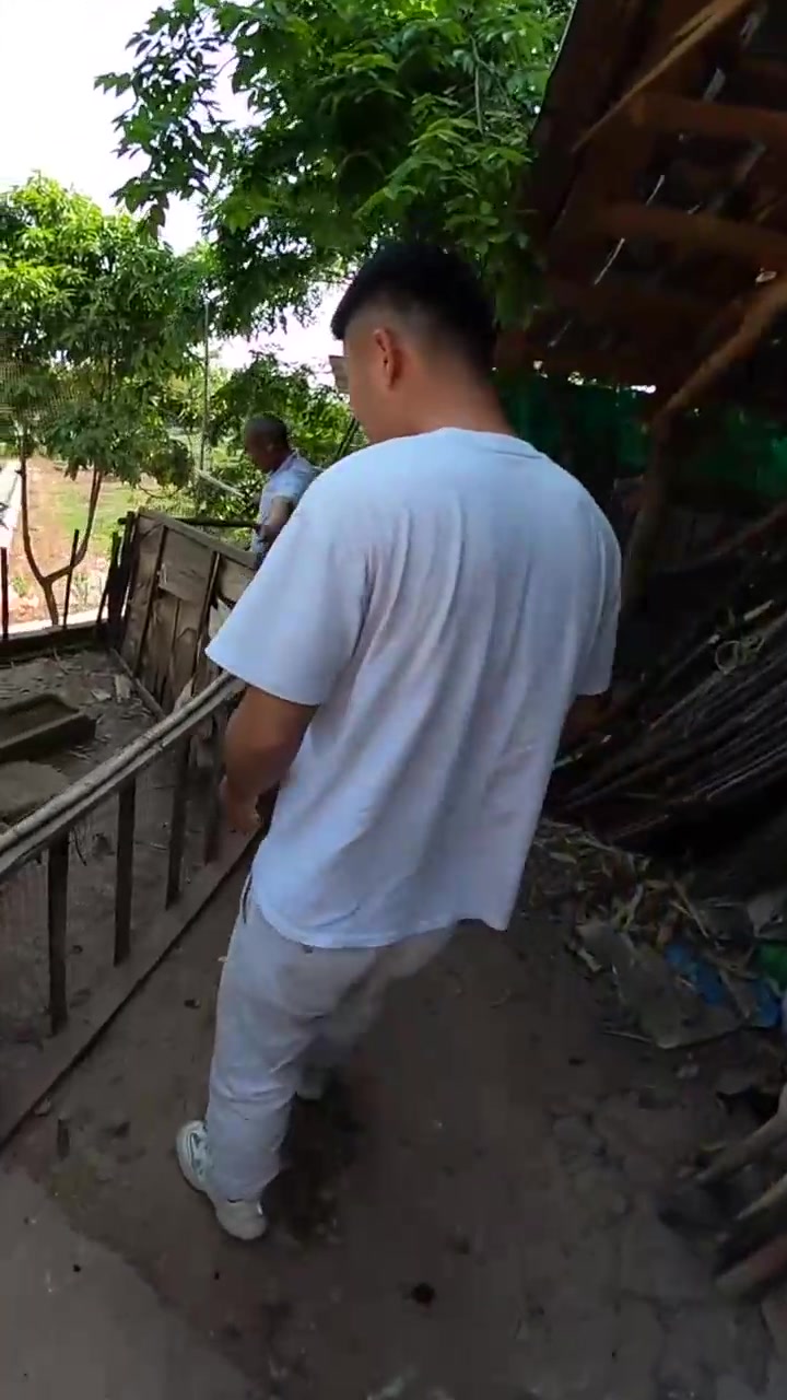 五年的老母鸡脚都长毛了，你们见过吗？