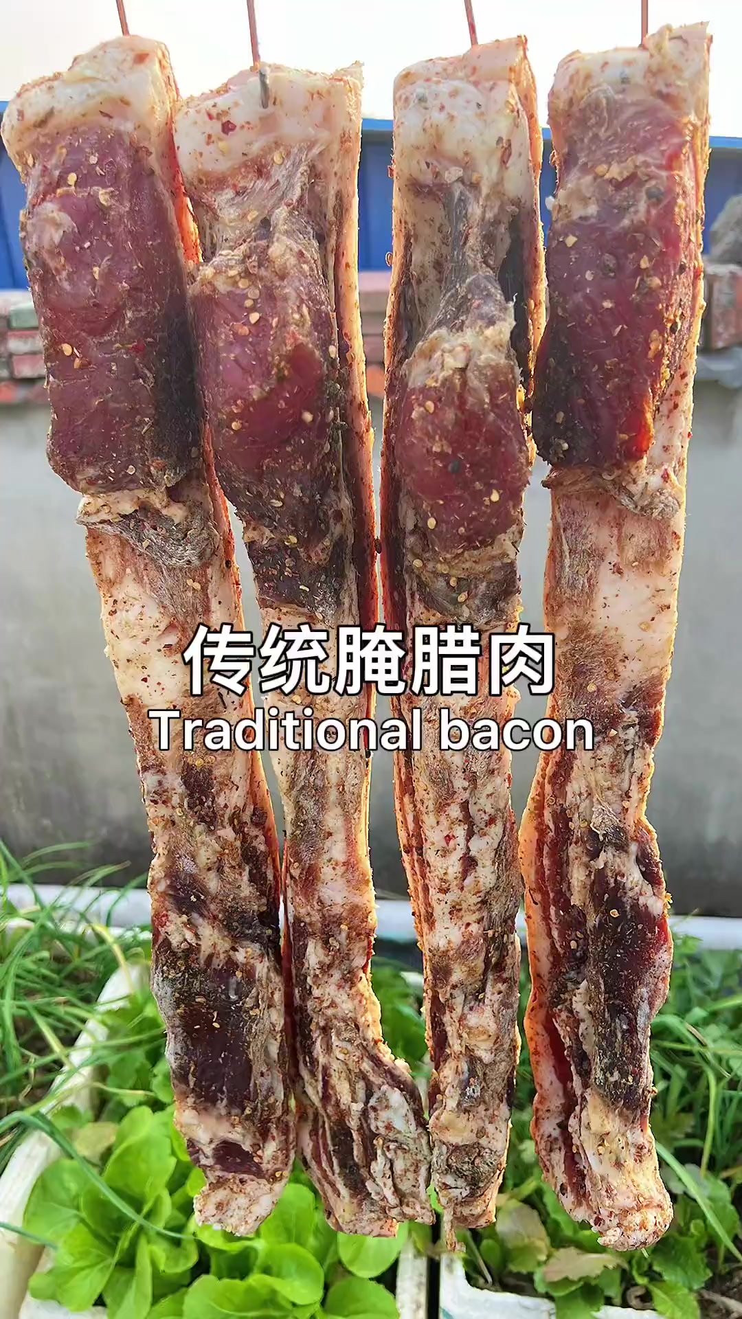 又到了腌腊肉的季节，按照我的方法腌制的腊肉非常香非常好吃