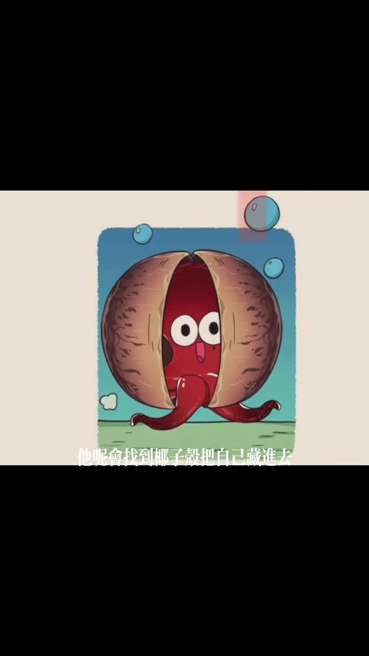 漫谈食物系列之海洋三兄弟鱿鱼、章鱼和墨鱼