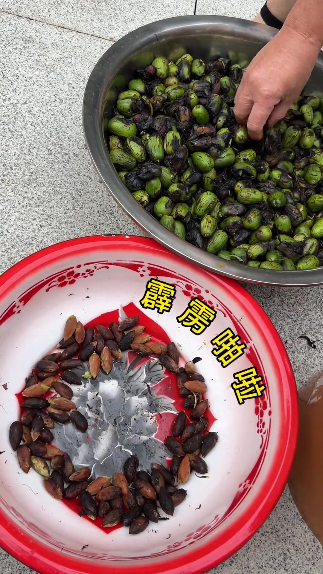 香榧竟然还能这么做是我没想到的