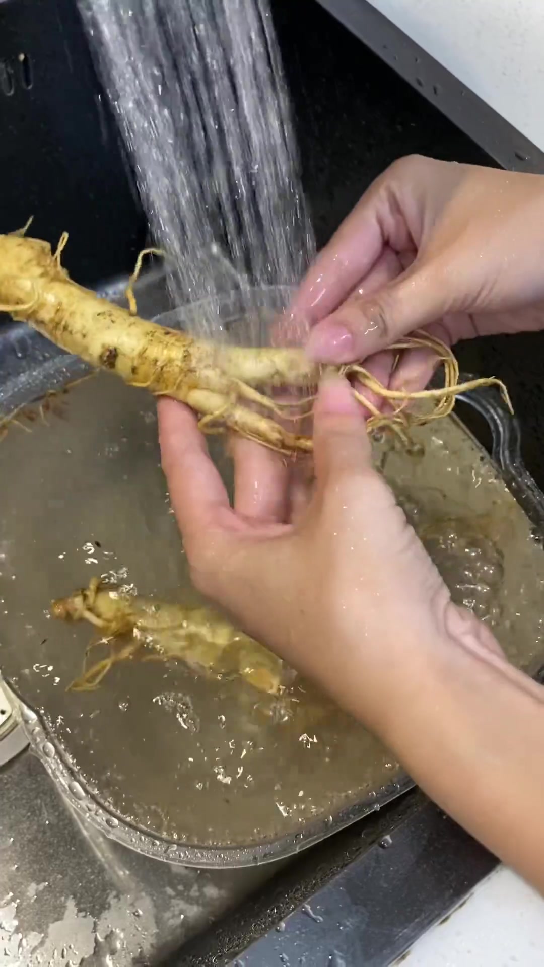 书里超火的立冬人参鸡教程来啦!秋冬补一补!