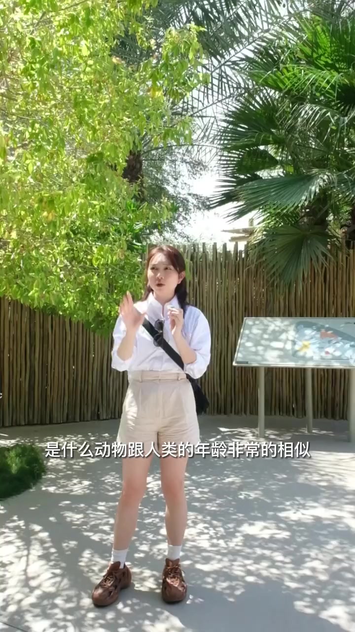 这次算是把尼罗鳄盘明白了