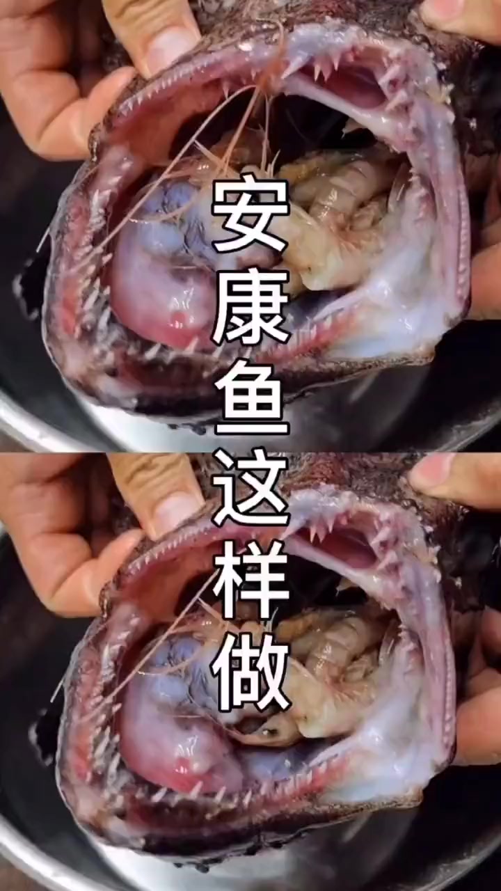 蛤蟆鱼处理及烹饪准备，美味即将开启！