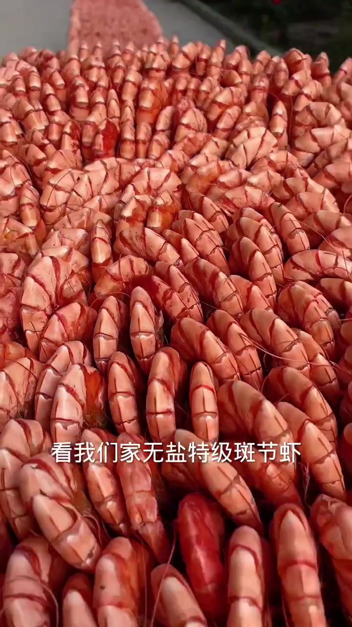 好吃营养又健康的斑节虾干