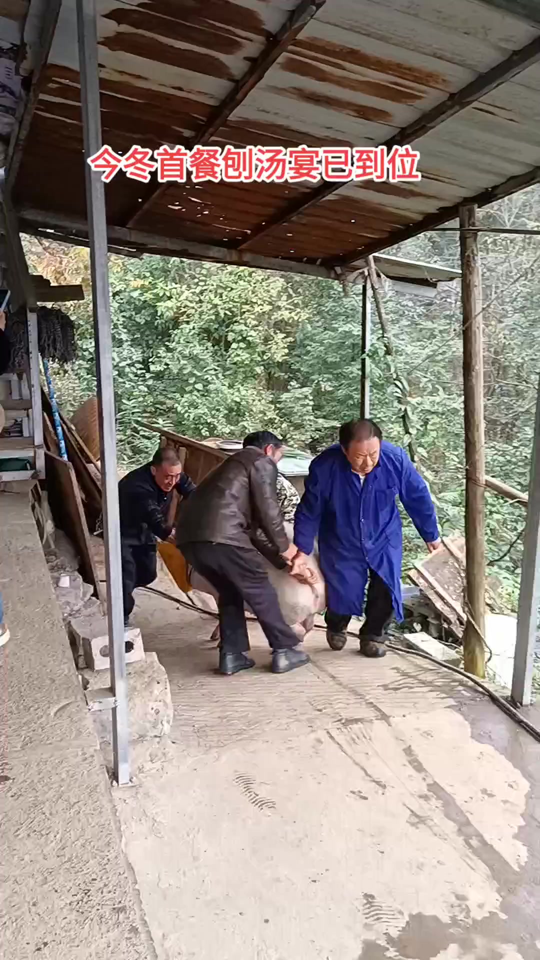 又是一年年猪季,我们宣恩叫刨汤宴,你们哪里叫杀猪饭吗?