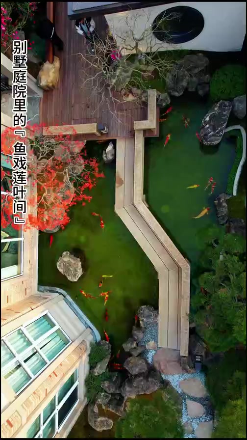 别墅院里的“鱼戏莲叶间”,赛过桃源