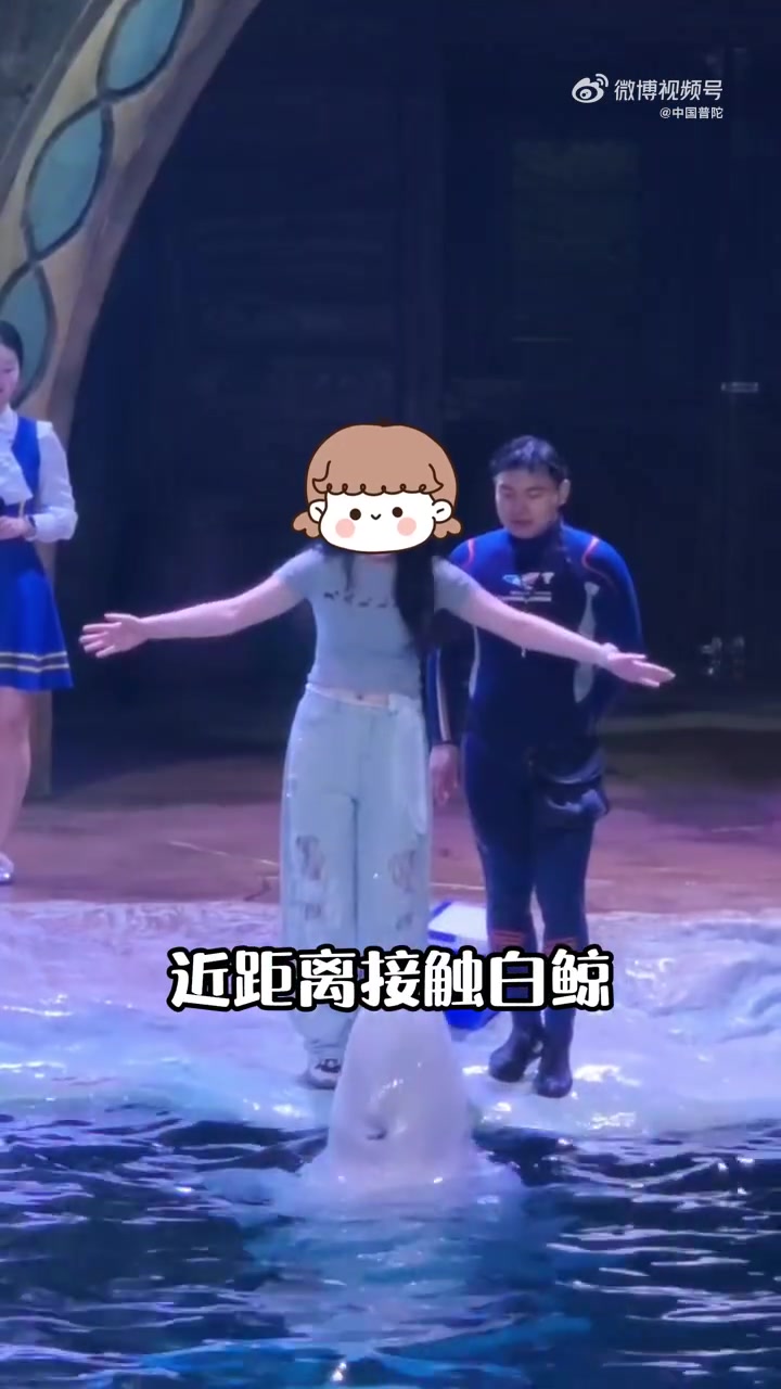 暑假必冲!和海洋萌物来场治愈系贴贴～「逸」起潜入海底世界:海豚跃出浪花比心,企鹅摇摇摆摆送