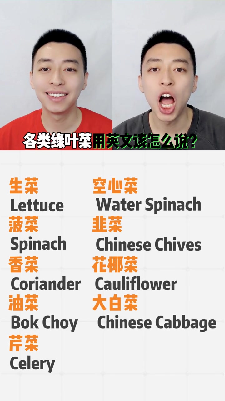 各类绿叶菜用英文该怎么说？实用亲子英语，快点起来吧！