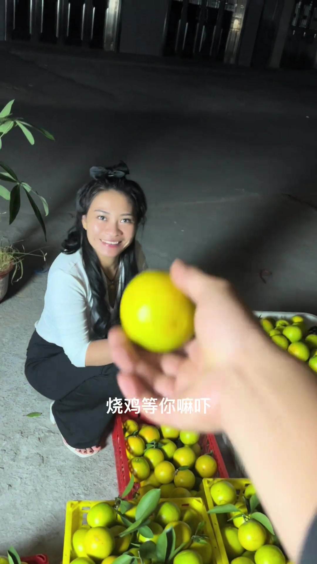 金灿灿的廉江红江橙上我们家的荔枝柴烧鸡