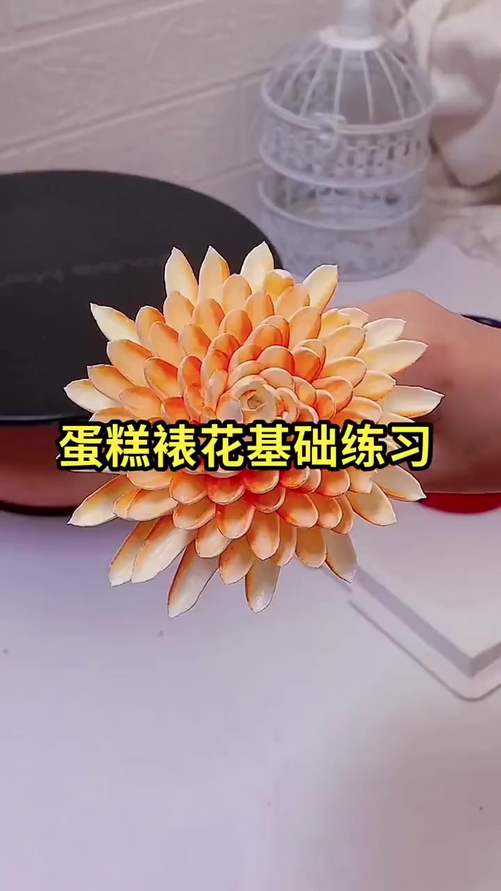 蛋糕裱花基础练习