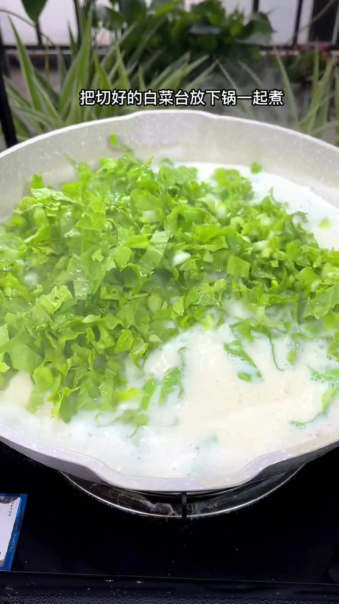 酸汤菜豆腐教程来咯