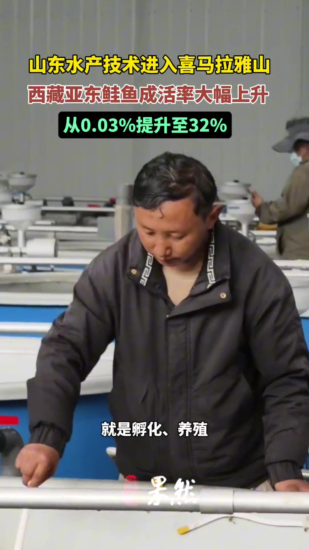 鲁藏情·珠峰行|引入山东水产技术,亚东鲑鱼成活率提升至32%