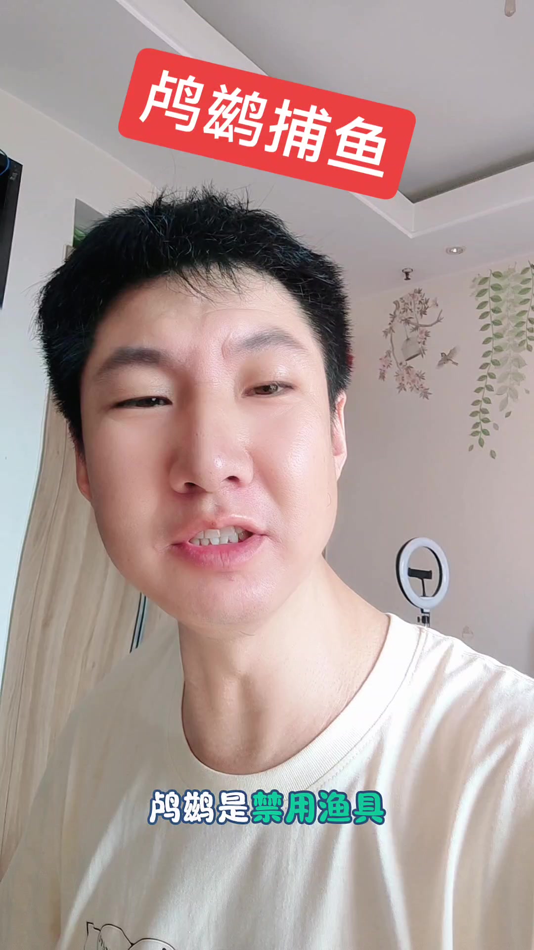 鸬鹚捕鱼