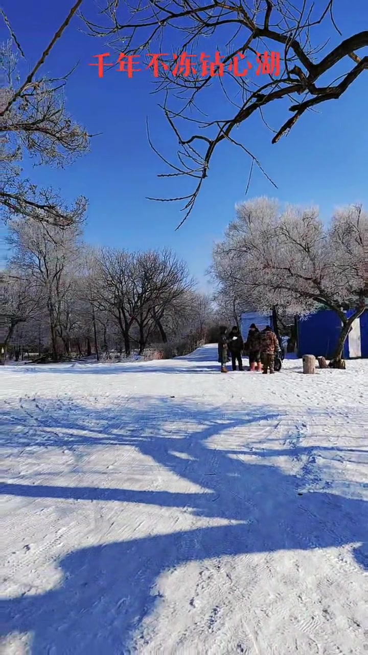 东北三九天,天寒地冻,钻心湖流水潺潺,黑龙江电视台来拍电视了,老板娘穿着彩貂扛着抄罗子捞鱼