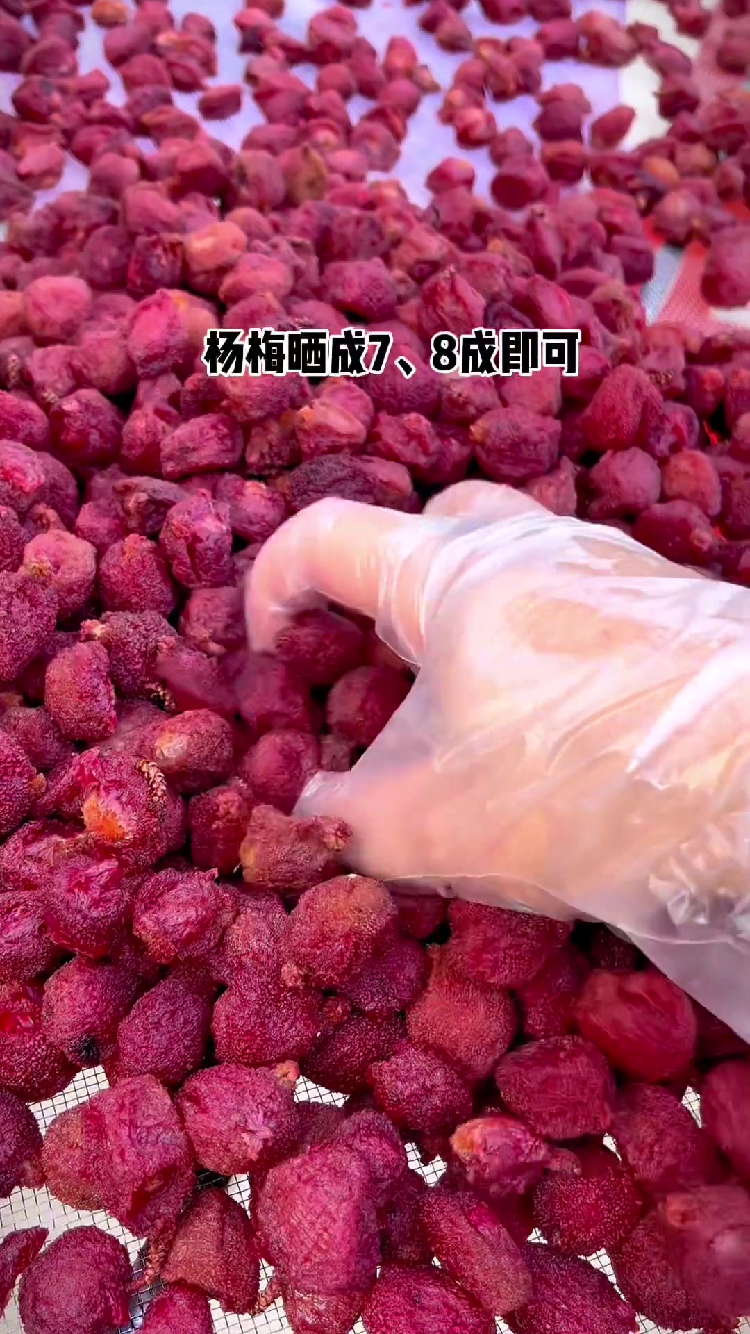 家里杨梅吃不完,就像我这样做,不仅一点也不浪费,还一年四季都有杨梅吃