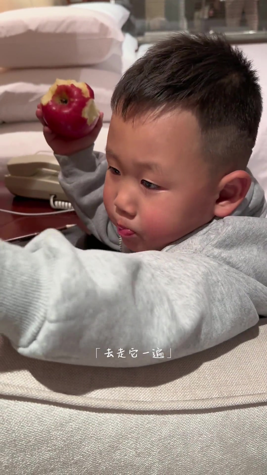 家人闲坐灯火可亲,三餐四季温柔有趣,米兜当配角的一天