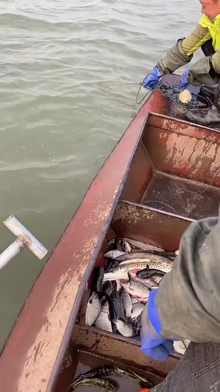 户外捕鱼迷魂阵网嘎牙子鱼大爆网