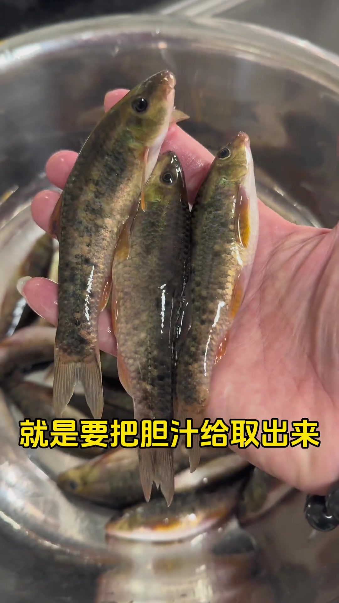 巴马“三宝”之首，盘阳河野生油鱼。油鱼人口，油溢于唇而不腻，鲜嫩甘美，鳞皮醇脆，味道醇香，