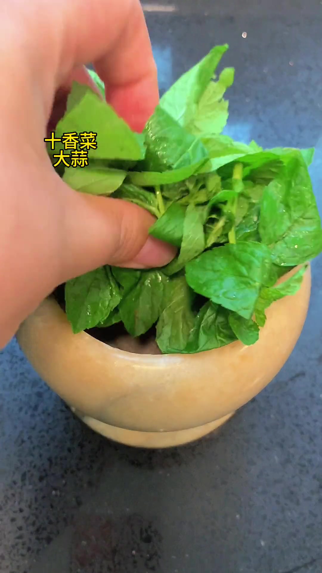 夏天必须得有这个味为了这个味我专门种了颗十香菜!凉爽美味!