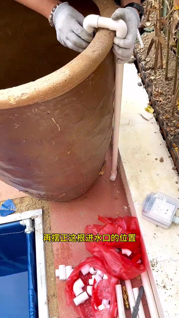 户外古法养鱼第九十八天之开缸鱼池的沼泽过滤，成功！