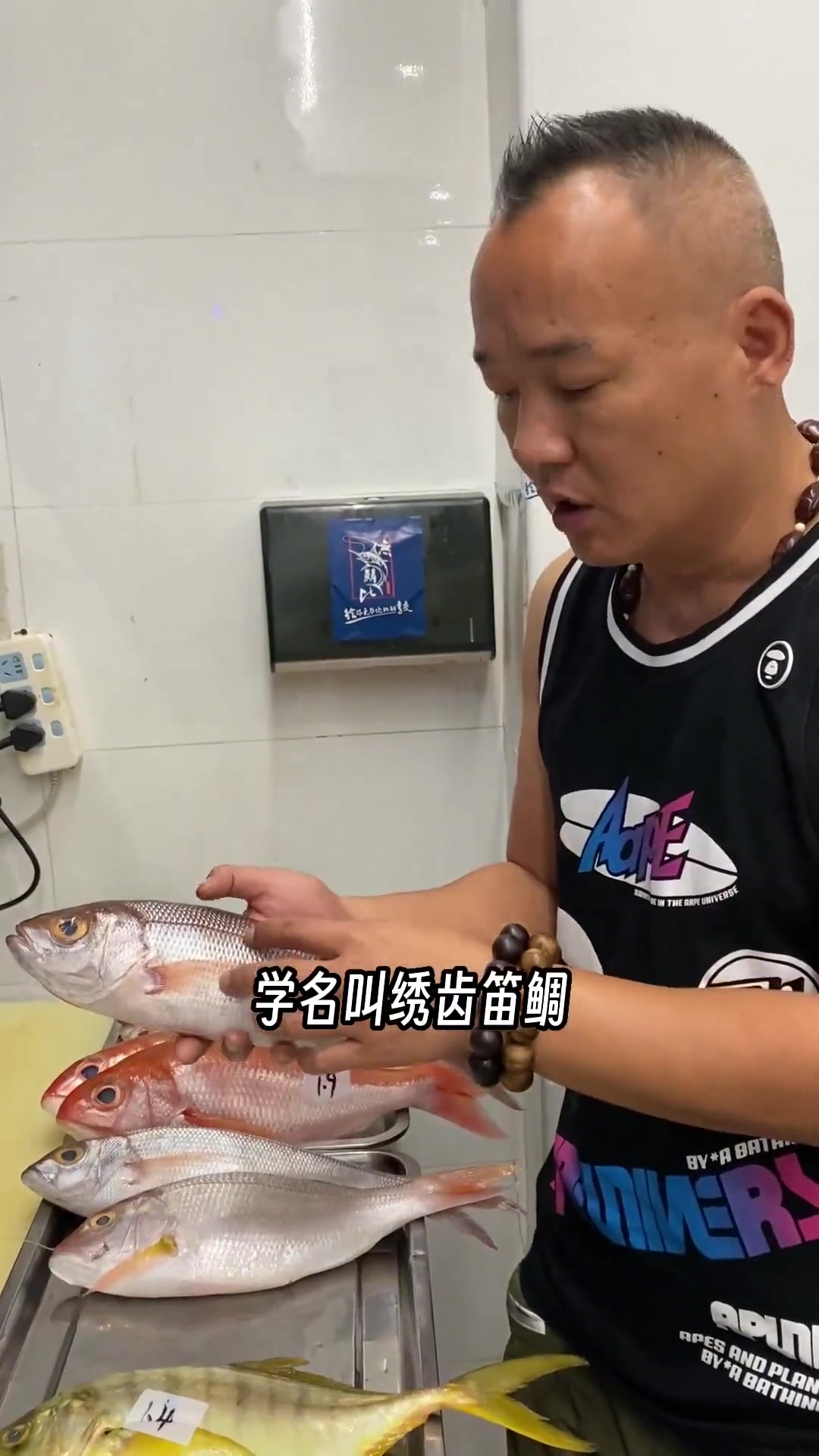 跟所有朋友科普一下,市面上可以买到的海鱼,以及适合的烹饪方法
