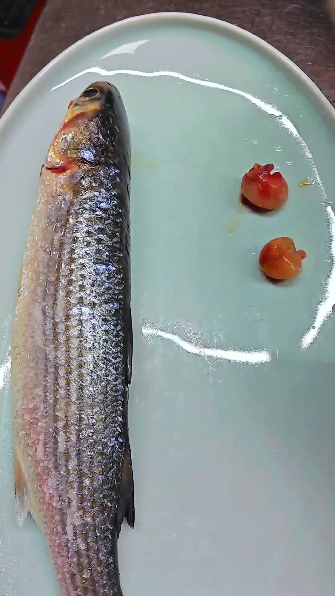冬季即将来临,乌鱼开始肥美,用潮汕最原始的方法蒸熟沾豆酱吃。可鲜甜了