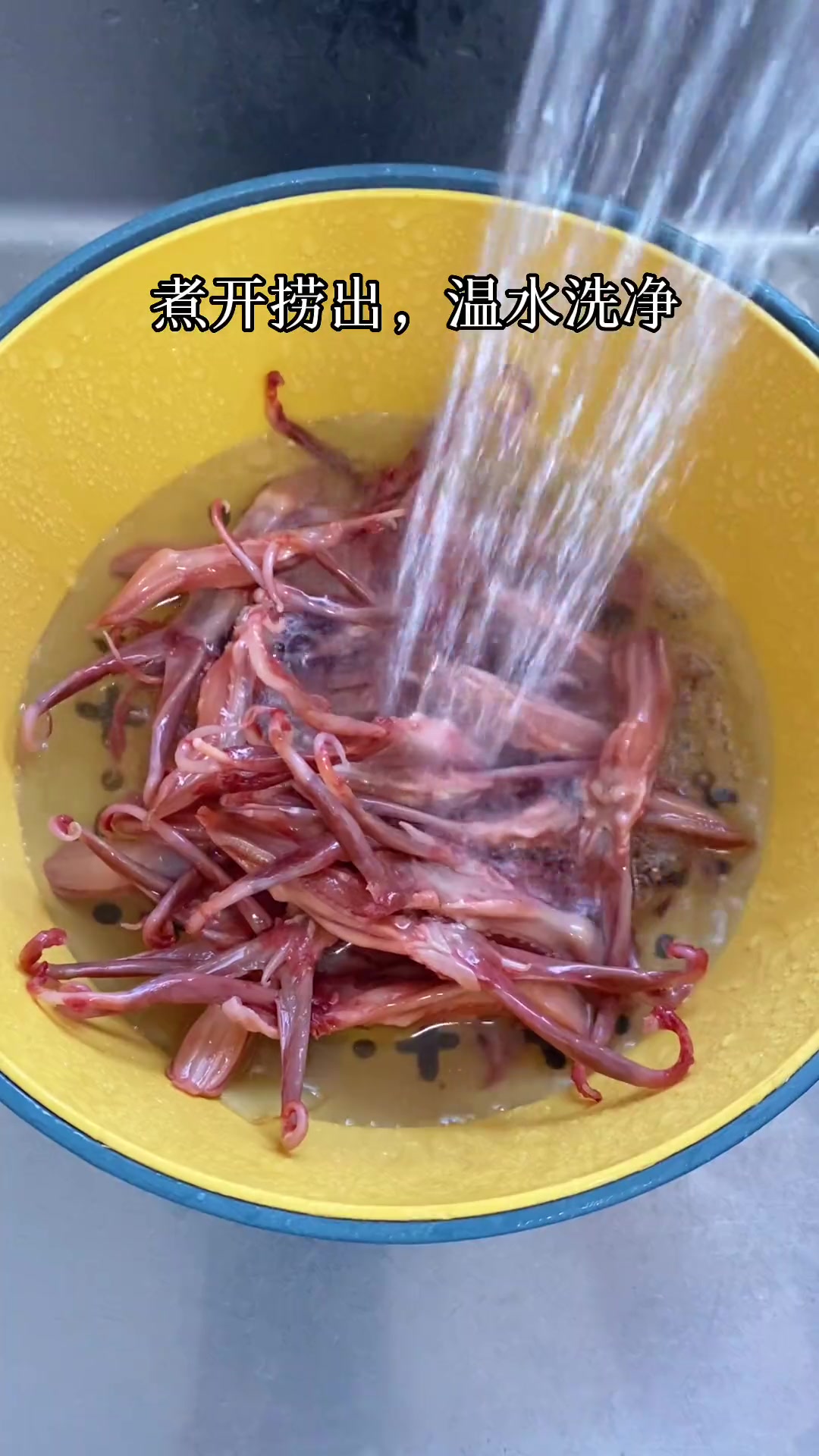 简易版红烧鸭舌,肉质饱满,色泽鲜亮,好吃,简简单单又一餐