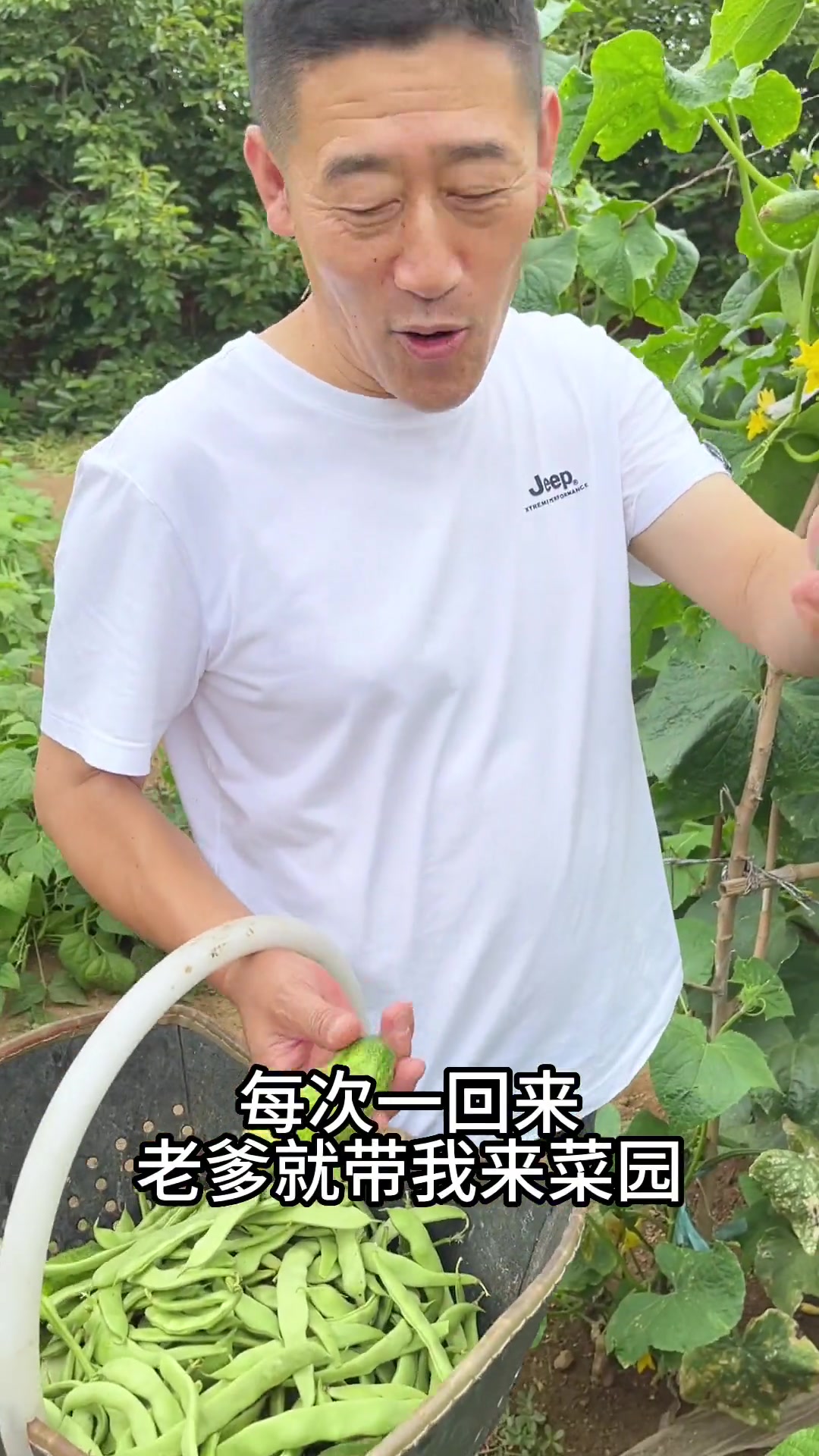 很多人炖海带发硬？选对海带并掌握技巧，炖出软糯厚海带