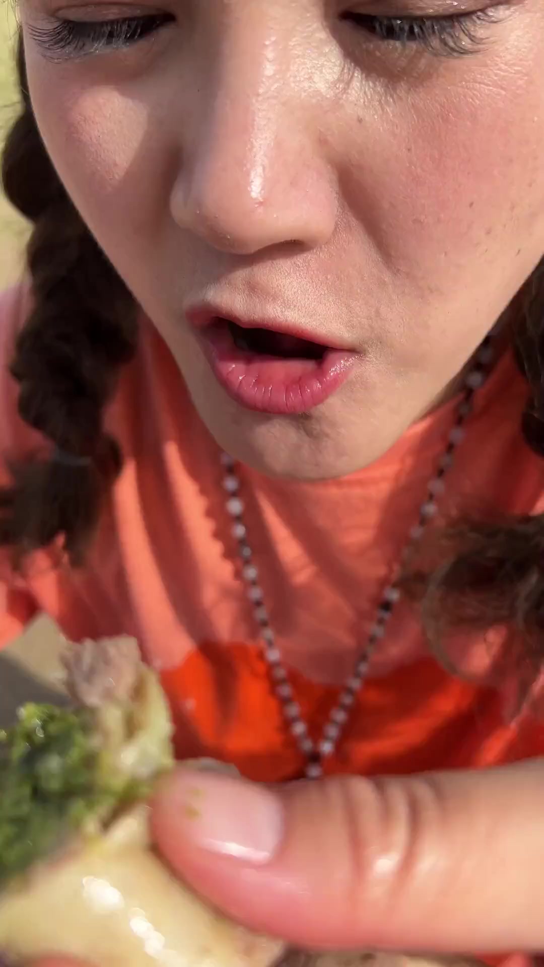 蒙古肉肠,美味清晰可见