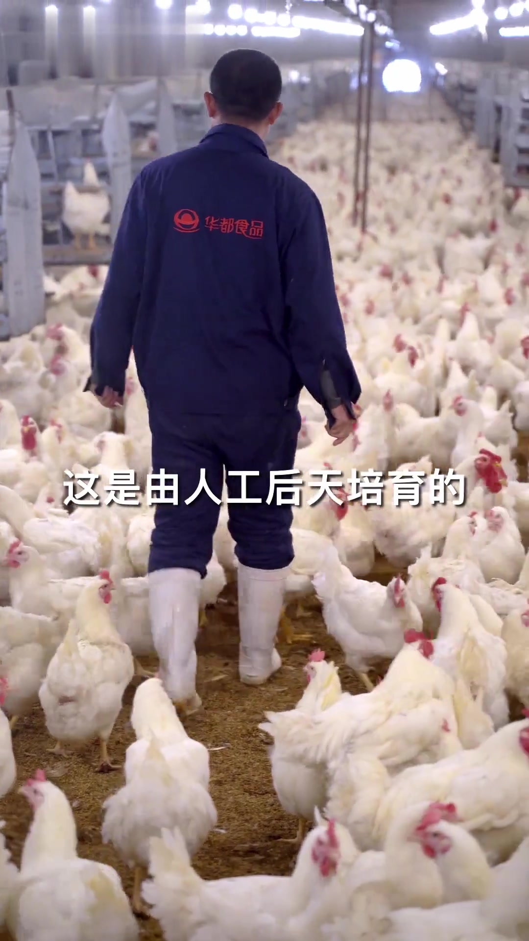 骨肉相连原来是这样来的！