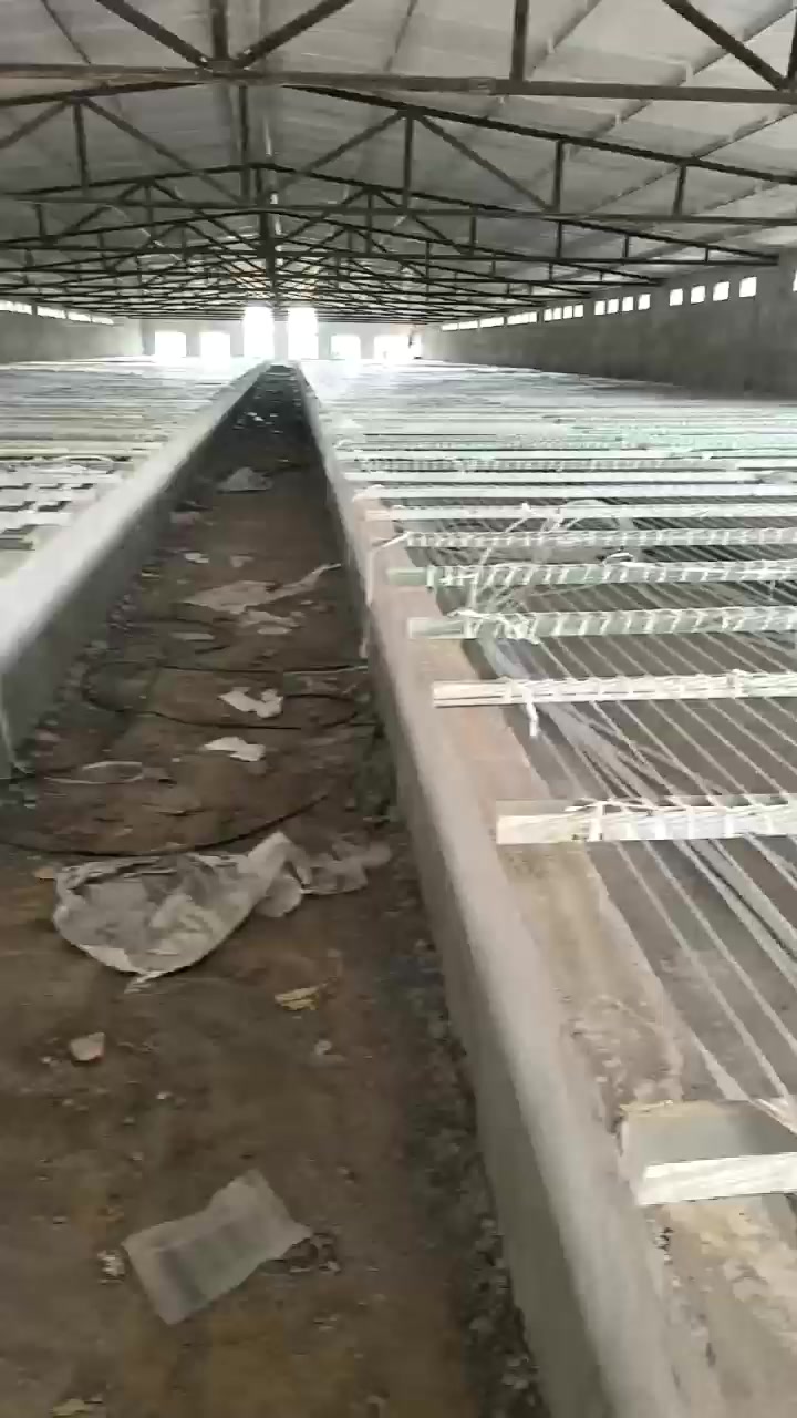 养鸭养鸡网床安装