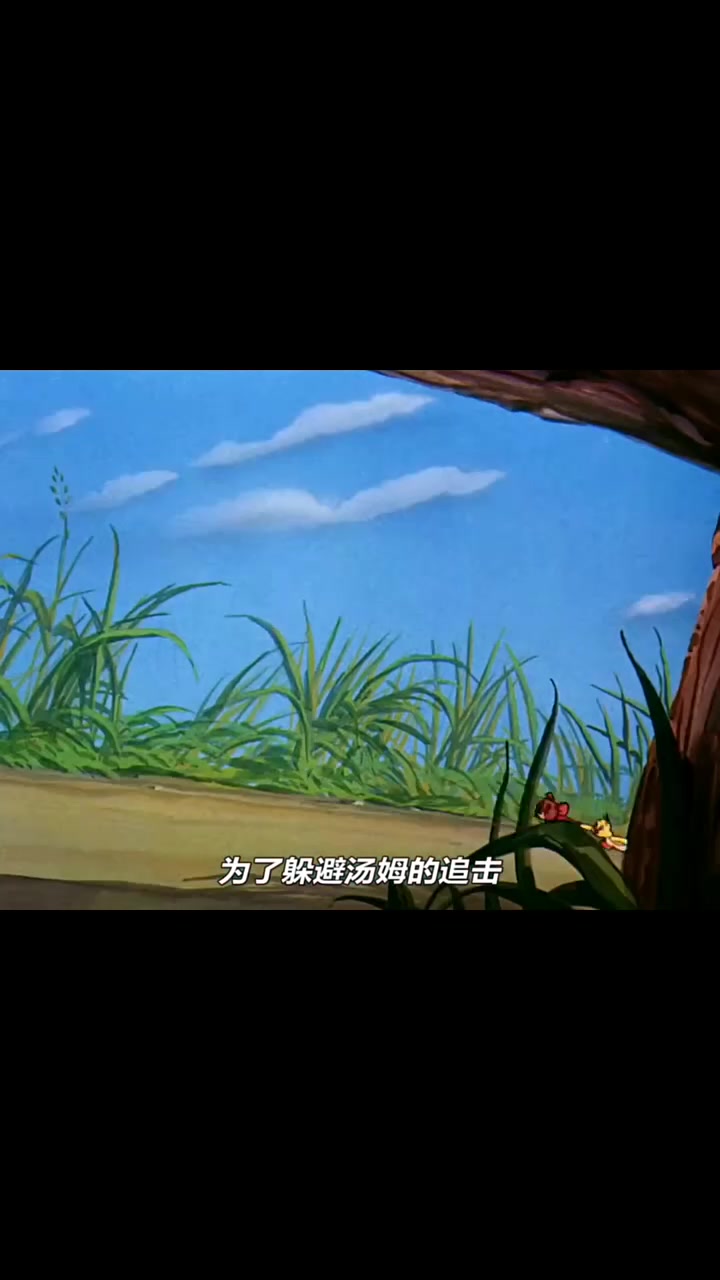 猫和老鼠_