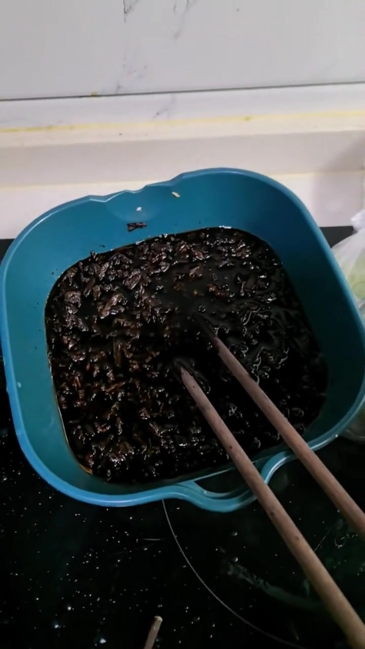 贤惠备餐!羊肉饺下周吃,包子送姐妹,梅菜试试鲜