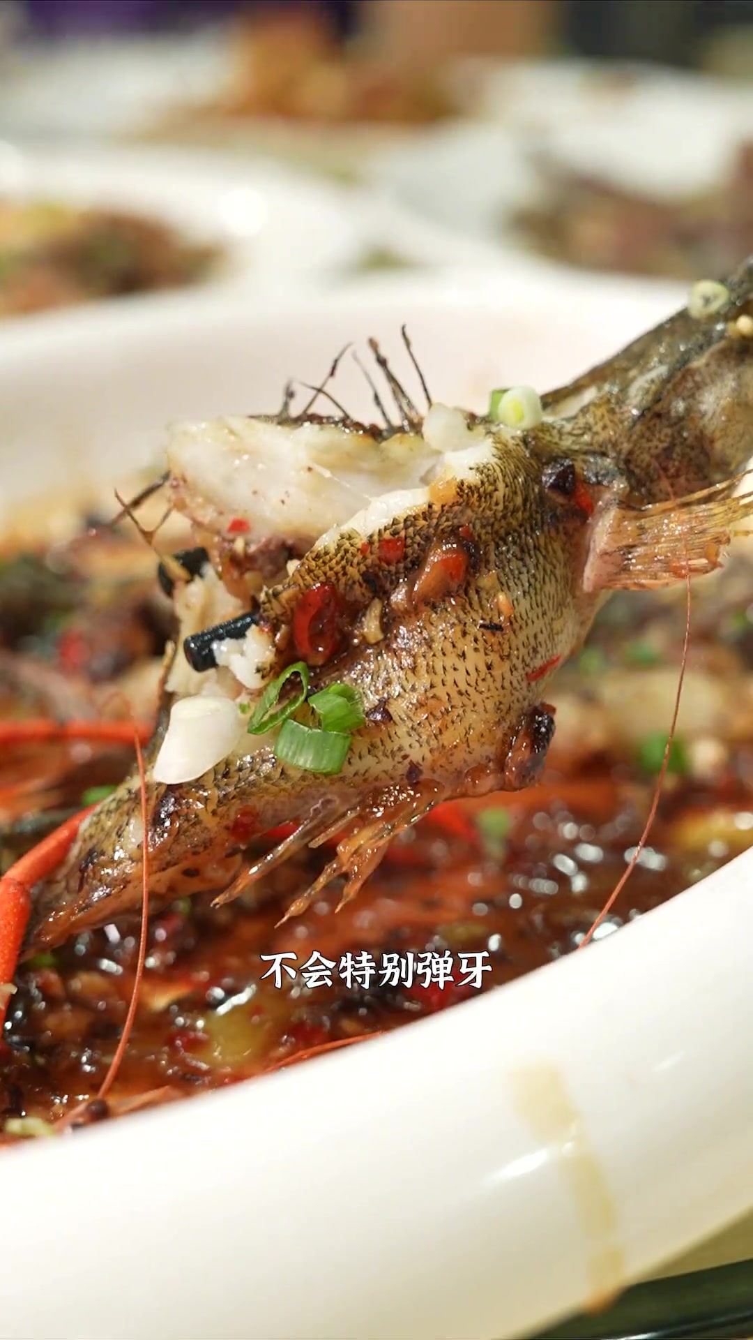 一次过吃遍西江当季河鲜,就算是痛风都要砌佢!
