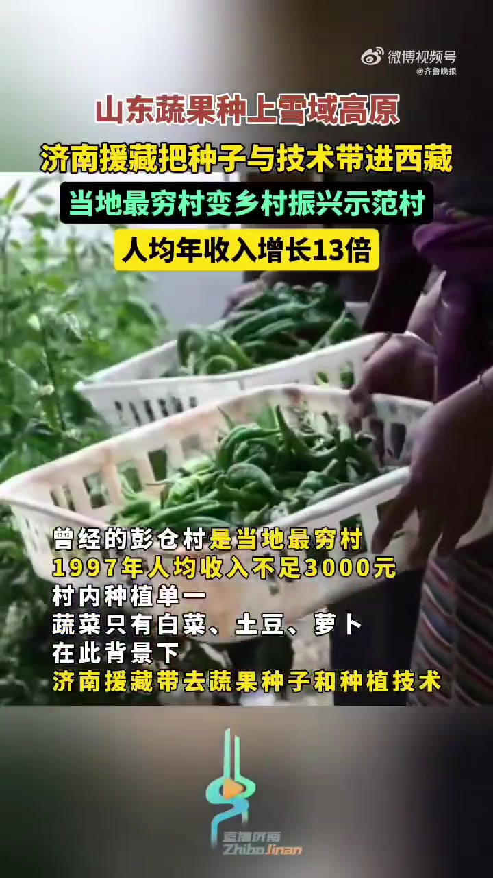 近日,记者走进西藏自治区日喀则市在济南市援建的自朗县,彭仓村从曾经的最穷村变成了远近闻名的