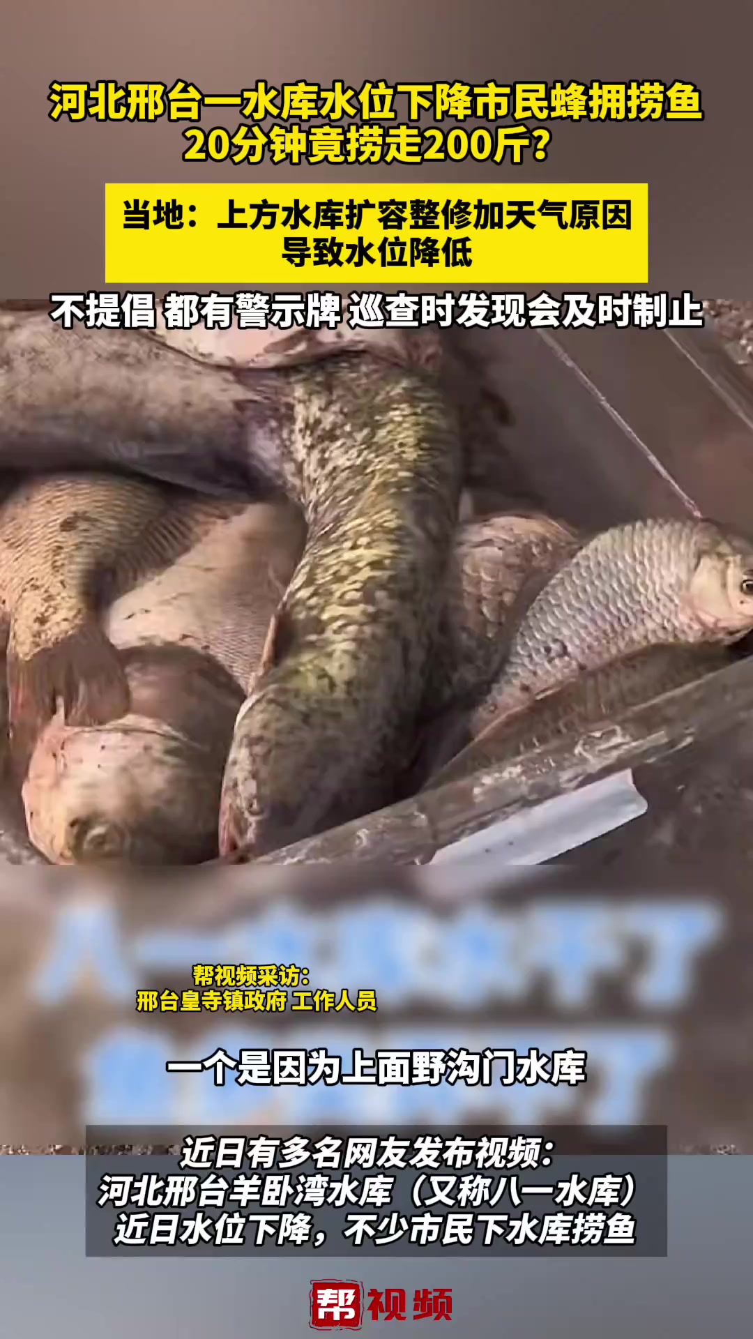 河北邢台一水库水位下降市民蜂拥捞鱼 20分钟捞走200斤?