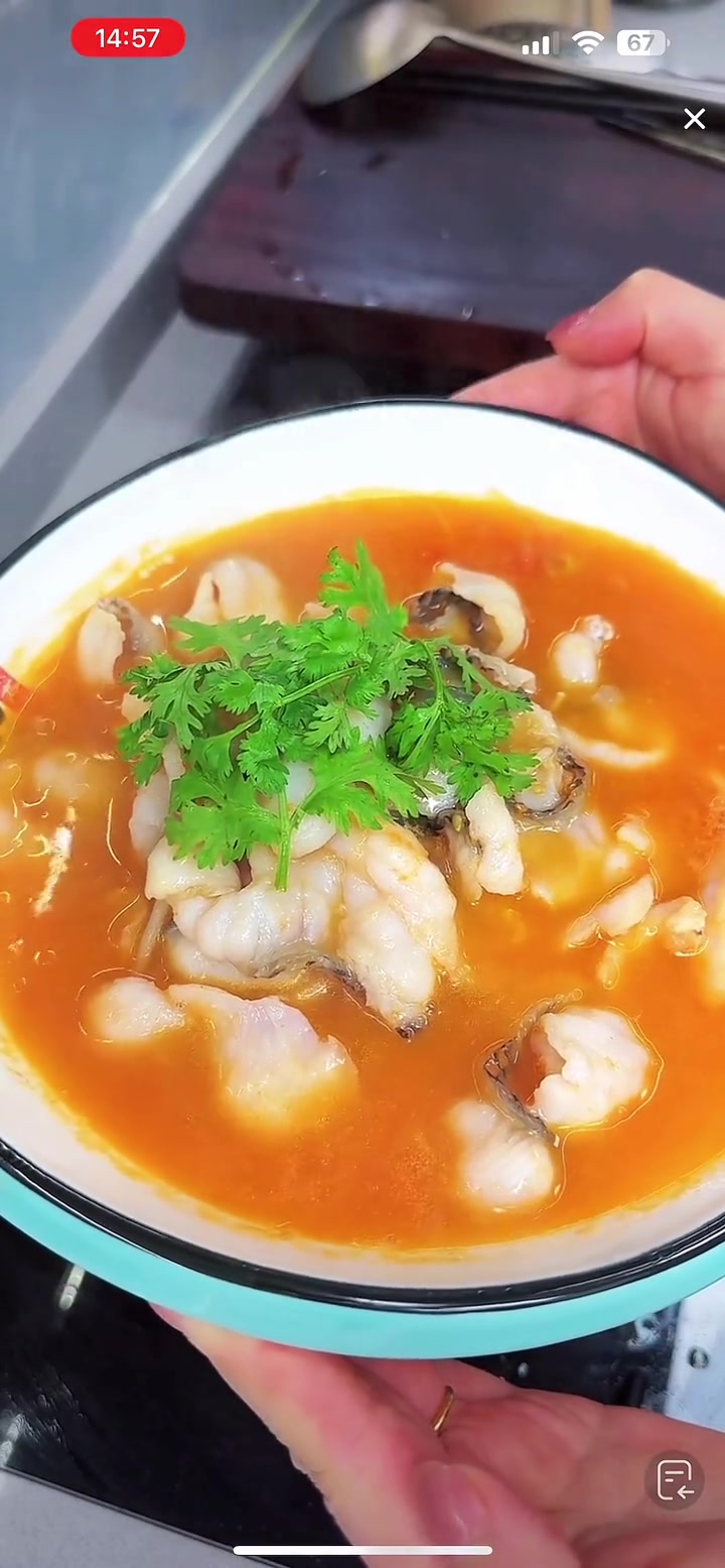 做个番茄鱼片汤