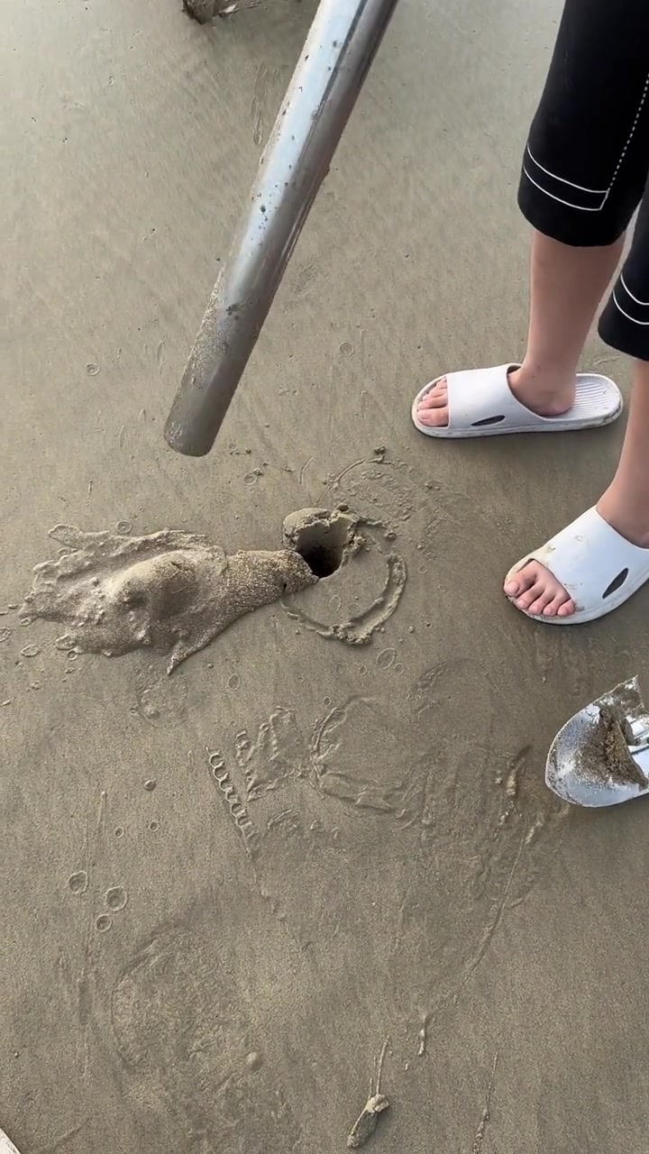 这招学会了，皮皮虾少不了