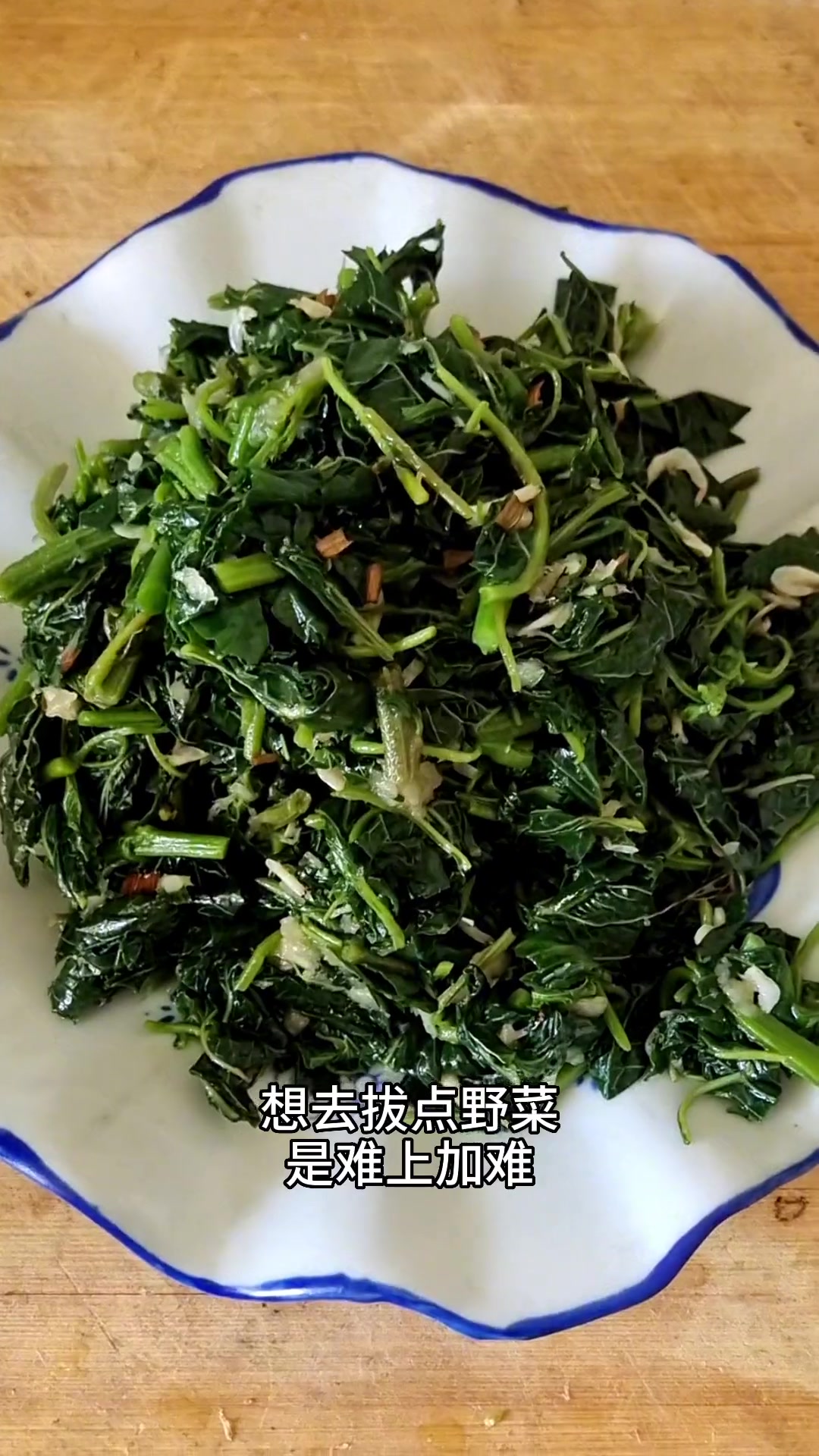 城市寻野菜不易,银杏菜做法分享,工作餐安排!